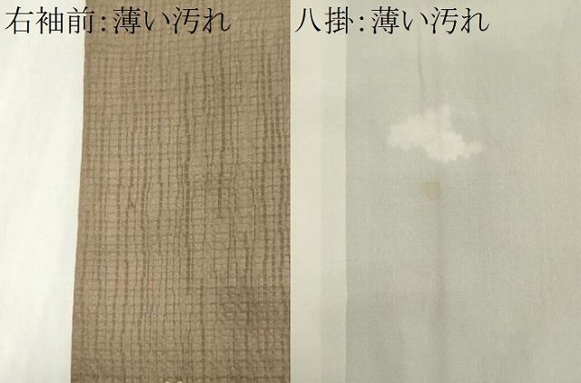 平和屋着物■上質な小紋　舞花文　金彩　正絹　逸品　CABL5904ou