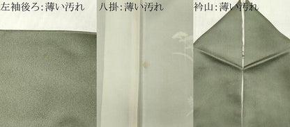 平和屋着物■訪問着　草花文　金彩　正絹　逸品　CABL5905ou