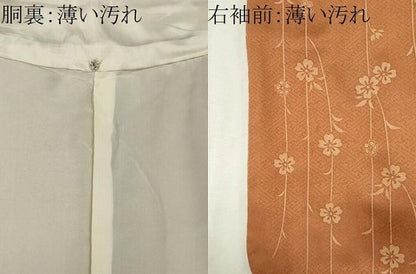 平和屋着物■訪問着　駒刺繍　枝花文　金彩　正絹　逸品　CABL5948ou