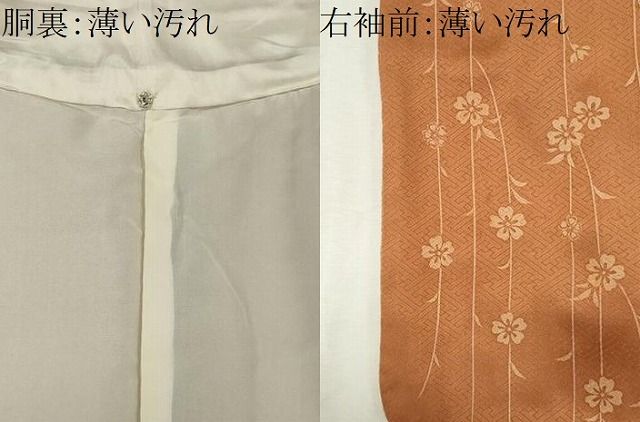 平和屋着物■訪問着　駒刺繍　枝花文　金彩　正絹　逸品　CABL5948ou