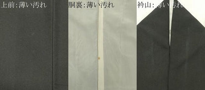 平和屋着物■豪華黒留袖　尾長鳥花文　金彩　正絹　逸品　CABL5950ou