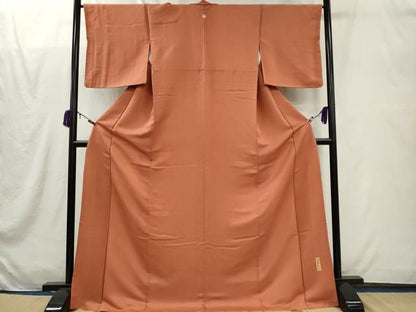 平和屋着物■江戸小紋　作家物　鮫小紋柄　ロング丈　正絹　逸品　CABL5957ou