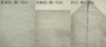 平和屋着物■上質な紬　霞文　正絹　逸品　CABL5966ou