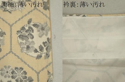 平和屋着物■上質な紬　亀甲草花丸文　正絹　逸品　CABL5982ou