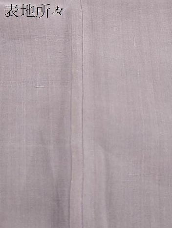 平和屋着物＊夏物　訪問着　紗紬　ドロンワーク　菱文　正絹　逸品　CABL6761th