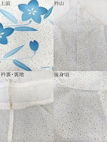 平和屋着物＊夏物　訪問着　絽　草花文　洗える着物　CABL6825xi
