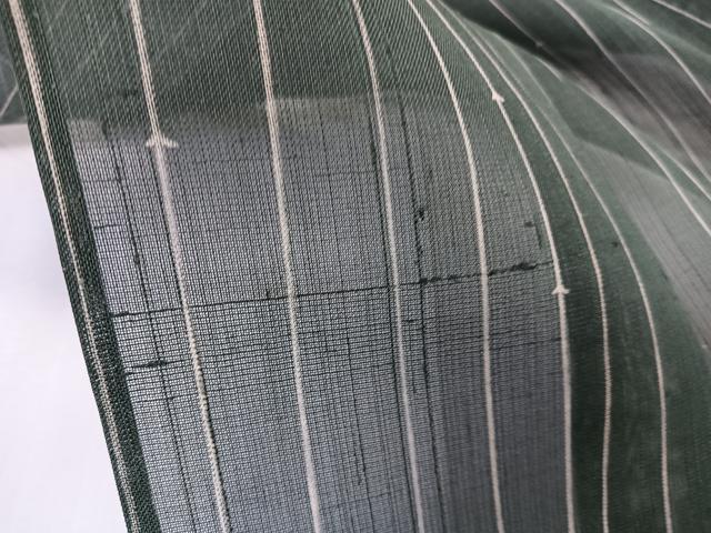 平和屋着物＊夏物　絹芭蕉　訪問着　枝垂れ柳文　正絹　逸品　CABL6835xi
