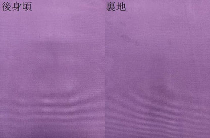 平和屋着物＊夏物　訪問着　絽　草花文　銀彩　正絹　逸品　未使用　CABL6846xi
