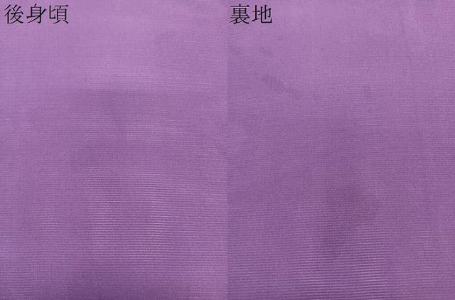 平和屋着物＊夏物　訪問着　絽　草花文　銀彩　正絹　逸品　未使用　CABL6846xi
