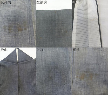 平和屋着物＊夏物　紗紬　桔梗鼠色　正絹　逸品　CABL6854xi
