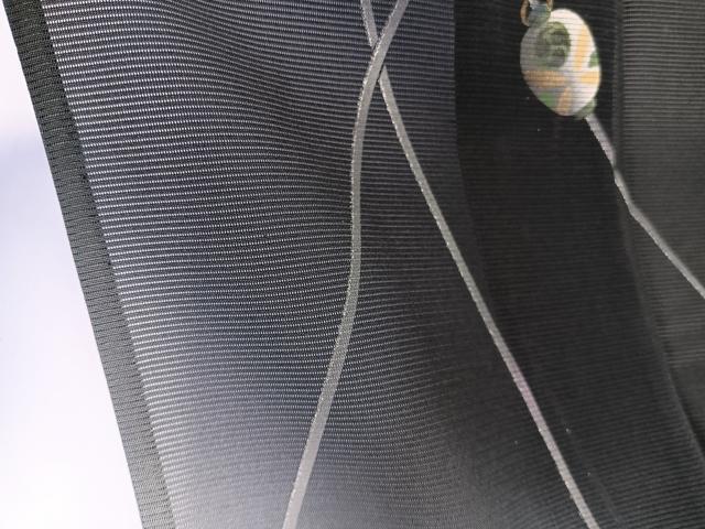 平和屋着物＊夏物　訪問着　絽　火消し　黒地　正絹　逸品　未使用　CABL6867xi