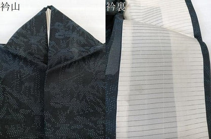 平和屋着物＊夏物　本場大島紬　夏大島　風景文　黒地　正絹　逸品　CABL6868xi