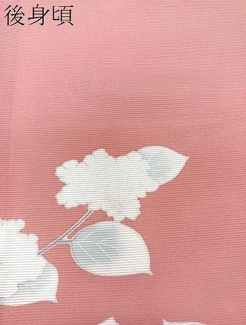 平和屋着物＊夏物　訪問着　絽　友禅　紫陽花　正絹　逸品　CABL6875xi