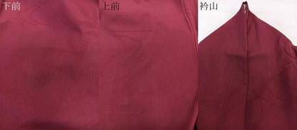 平和屋着物＊夏物　色無地　流水枝葉紋紗　葡萄茶色　正絹　逸品　CABL6880xi