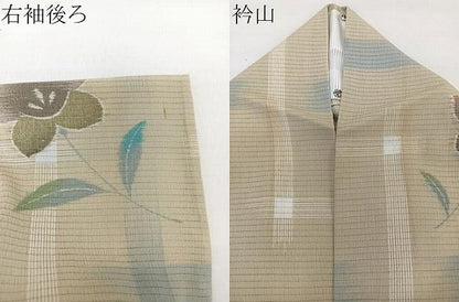 平和屋着物＊夏物　小紋　絽縮緬　枝草花文　洗える着物　CABL6882xi