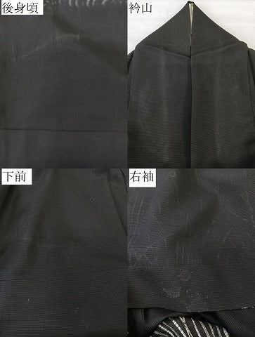 平和屋着物＊夏物　訪問着　絽　ろうけつ染め　草文　黒地　正絹　逸品　CABL6912xi