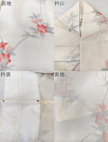平和屋着物＊夏物　小紋　絽　手描き　枝草花文　正絹　逸品　CABL6914xi