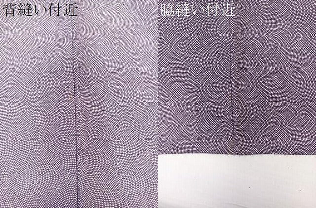 平和屋着物＊夏物　江戸小紋　絽　両袖染め　鮫小紋柄　正絹　逸品　CABL6970xi