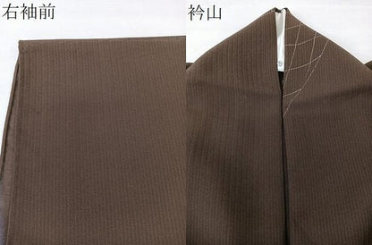 平和屋着物＊夏物　小紋　紗　人物文　ロング丈　正絹　逸品　CABL6974xi
