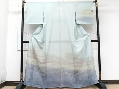 平和屋着物＊夏物　訪問着　絽　雲文　暈し染め　正絹　逸品　CABL6977xi
