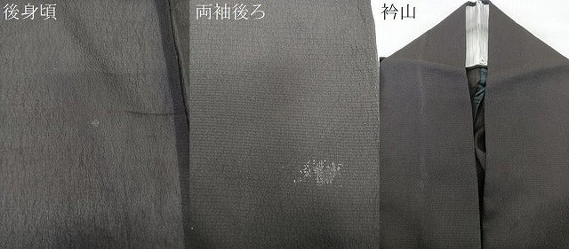 平和屋着物＊夏物　小紋　紗　流水魚　正絹　逸品　CABL6995xi