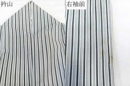 平和屋着物＊夏物　小紋　絽　縞　洗える着物　CABL7033xi