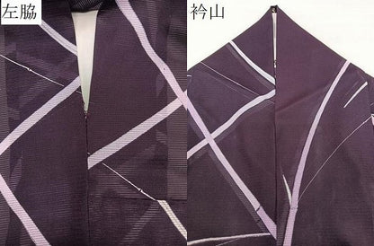 平和屋着物＊夏物　小紋　絽　笹文　洗える着物　CABL7048xi