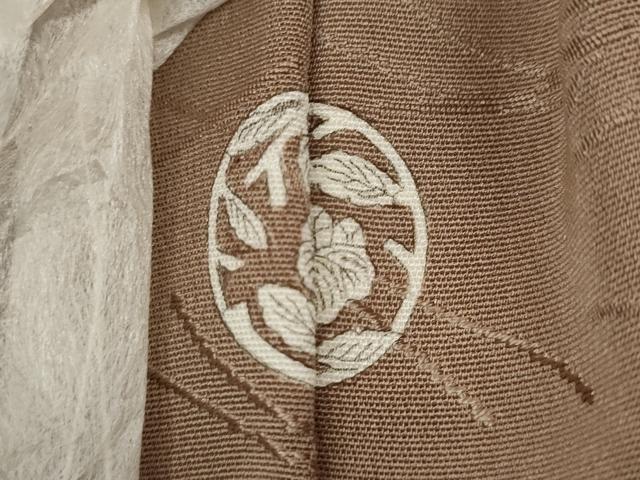 平和屋着物●上質な色無地　こぼれ松葉地紋　空五倍子色　正絹　逸品　未使用　CABL8472ut