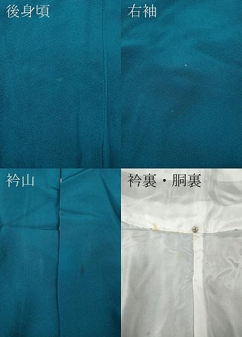 平和屋着物●豪華振袖　総刺繍　花蝶丸文　正絹　逸品　CABL8481ut