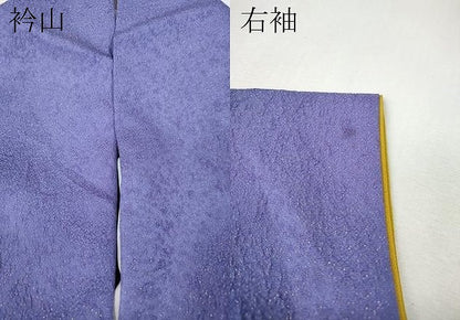 平和屋着物●豪華振袖　絞り　立波枝花文　暈し染め　金通し地　正絹　逸品　CABL8746ut