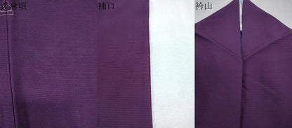 平和屋着物＊夏物　色無地　絽　紫紺色　正絹　逸品　CABL8808th