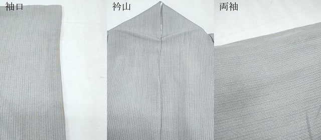 平和屋着物＊夏物　伝統工芸師　服部光擴　江戸小紋　縦絽　角通し　正絹　逸品　CABL8825th