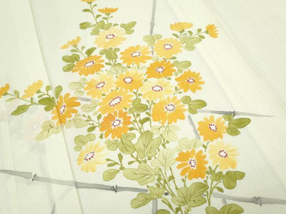 平和屋着物＊夏物　訪問着　絽　手描き　草花文　正絹　逸品　CABL8903th