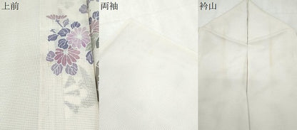 平和屋着物＊夏物　訪問着　絽　友禅　草花文　正絹　逸品　CABL8904th