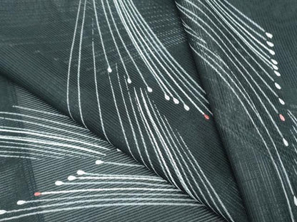 平和屋着物＊夏物　小紋　絽　吉祥文　黒地　洗える着物　CABL8910th