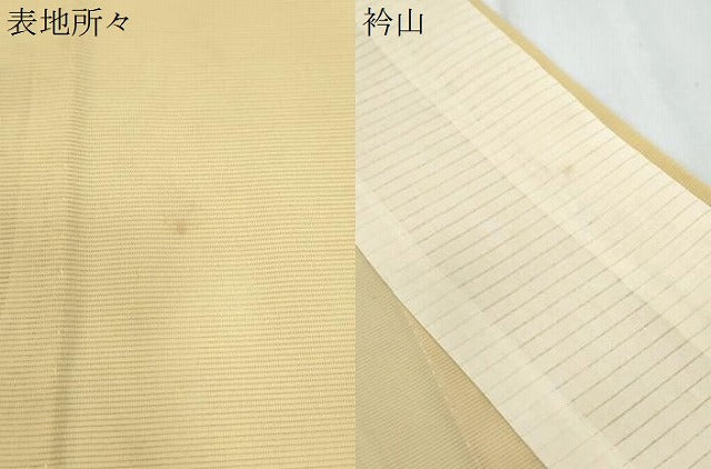 平和屋着物＊夏物　訪問着　絽　草花文　銀彩　正絹　逸品　CABL8948th