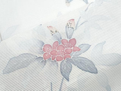 平和屋着物＊夏物　訪問着　絽　友禅　紫陽花　暈し染め　正絹　逸品　CABL8973th