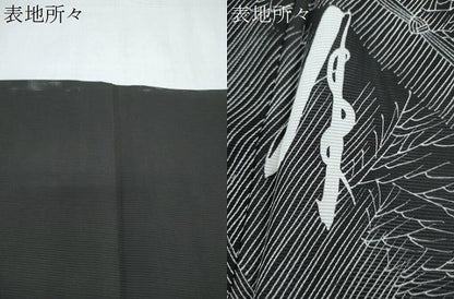 平和屋着物＊夏物　訪問着　絽　籬文　黒地　正絹　逸品　CABL8976th