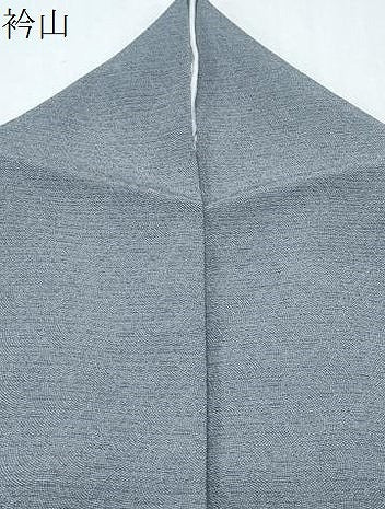 平和屋着物＊夏物　江戸小紋　絽縮緬　鮫小紋柄　正絹　逸品　CABL8982th