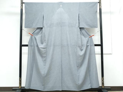 平和屋着物＊夏物　江戸小紋　絽縮緬　鮫小紋柄　正絹　逸品　CABL8982th