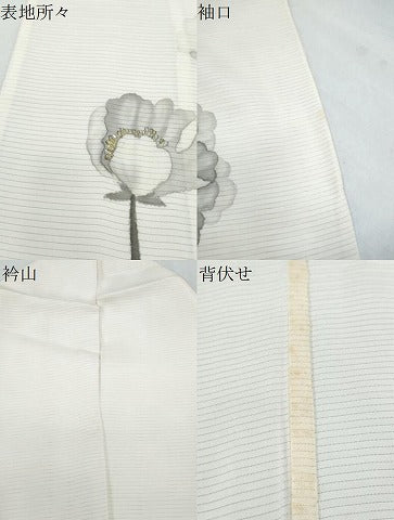 平和屋着物＊夏物　訪問着　絽　手書き　草花文　金銀糸　正絹　逸品　CABL8985th