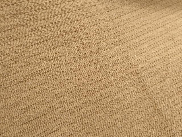 平和屋着物＊夏物　色無地　絽縮緬　飴色　正絹　逸品　CABL8989th
