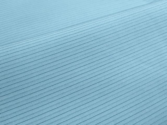 平和屋着物＊夏物　色無地　絽　浅縹色　正絹　逸品　未使用　CABL9006th