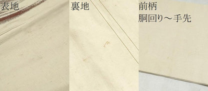 平和屋着物●アンティーク　大正ロマン　九寸名古屋帯　龍　金糸　正絹　逸品　CABL9646hy