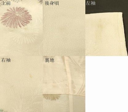 平和屋着物＃羽織　寿光織　菊文　金糸　正絹　逸品　未使用　CABM0195in