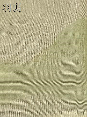 平和屋着物＃羽織　寿光織　草木文　黒地　金糸　正絹　逸品　CABM0268in
