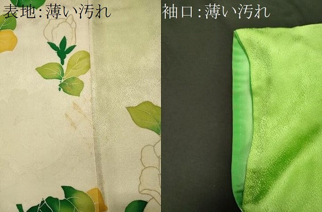 平和屋着物■訪問着　枝花文　暈し染め　金彩　正絹　逸品　CABM0805oy