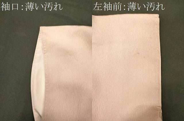 平和屋着物■訪問着　刺繍　枝花文　暈し染め　銀糸　正絹　逸品　CABM0809oy
