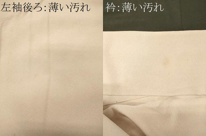 平和屋着物■中国三大刺繍　相良刺繍　総刺繍　色留袖　宝尽し　正絹　逸品　CABM0812oy