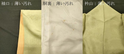 平和屋着物■上質な小紋　寿光織　風景地紋　金糸　正絹　逸品　未使用　CABM0874oy